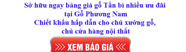 bảng giá gỗ tần bì nhập khẩu