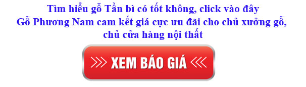 giá gỗ tần bì nhập khẩu bao nhiêu 1m khối